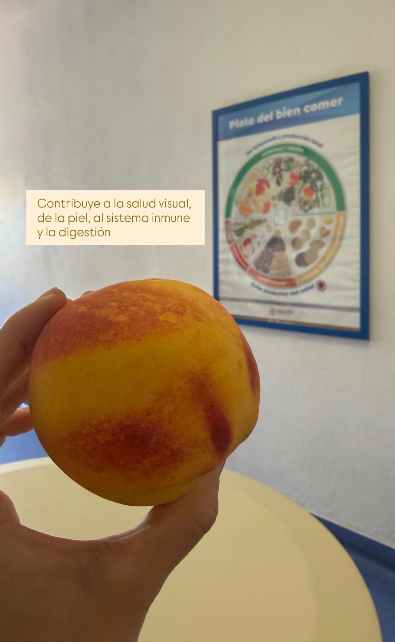 Nallely Del Carmen Núñez Ibáñez-28