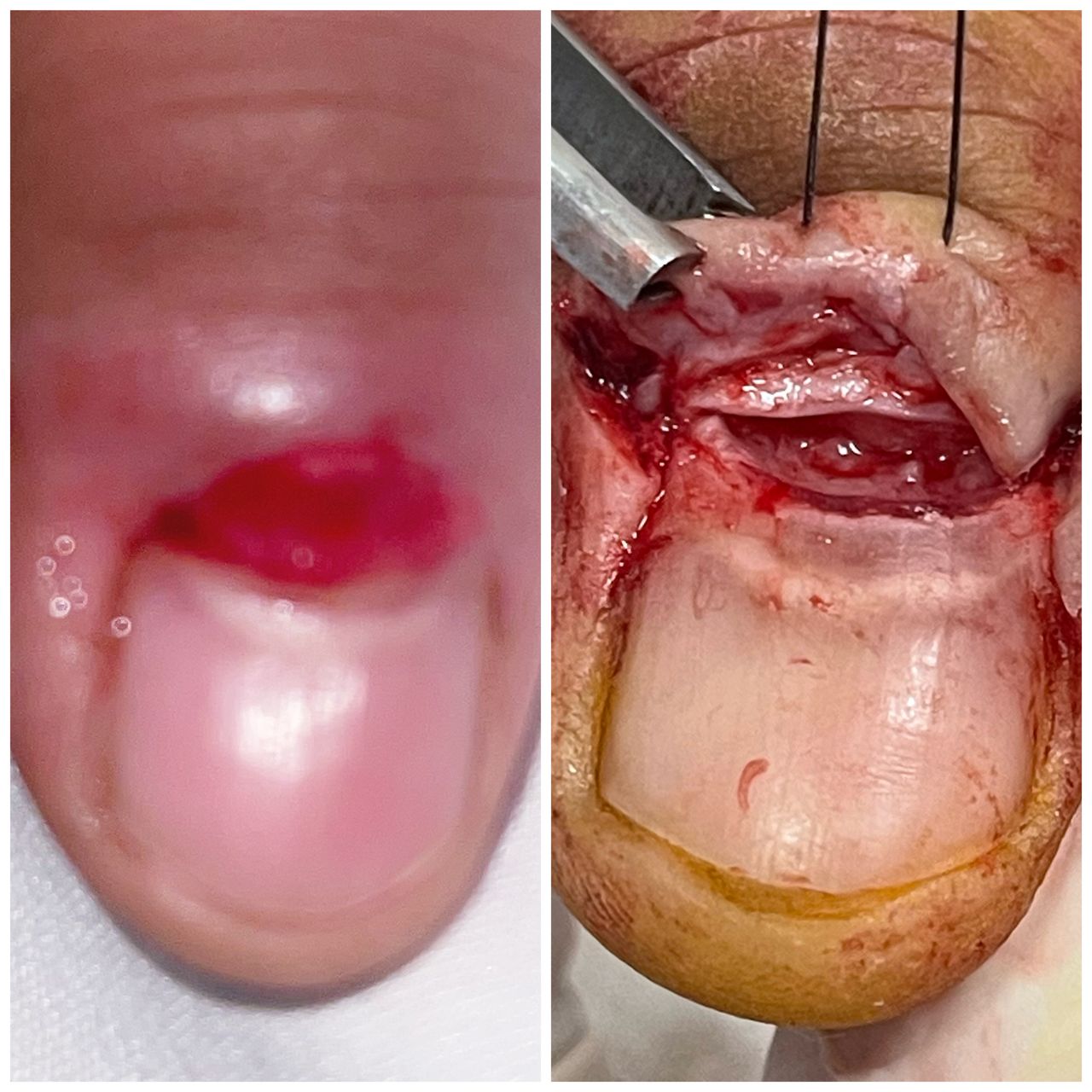 Alejandra Paola Castañeda Contreras-12