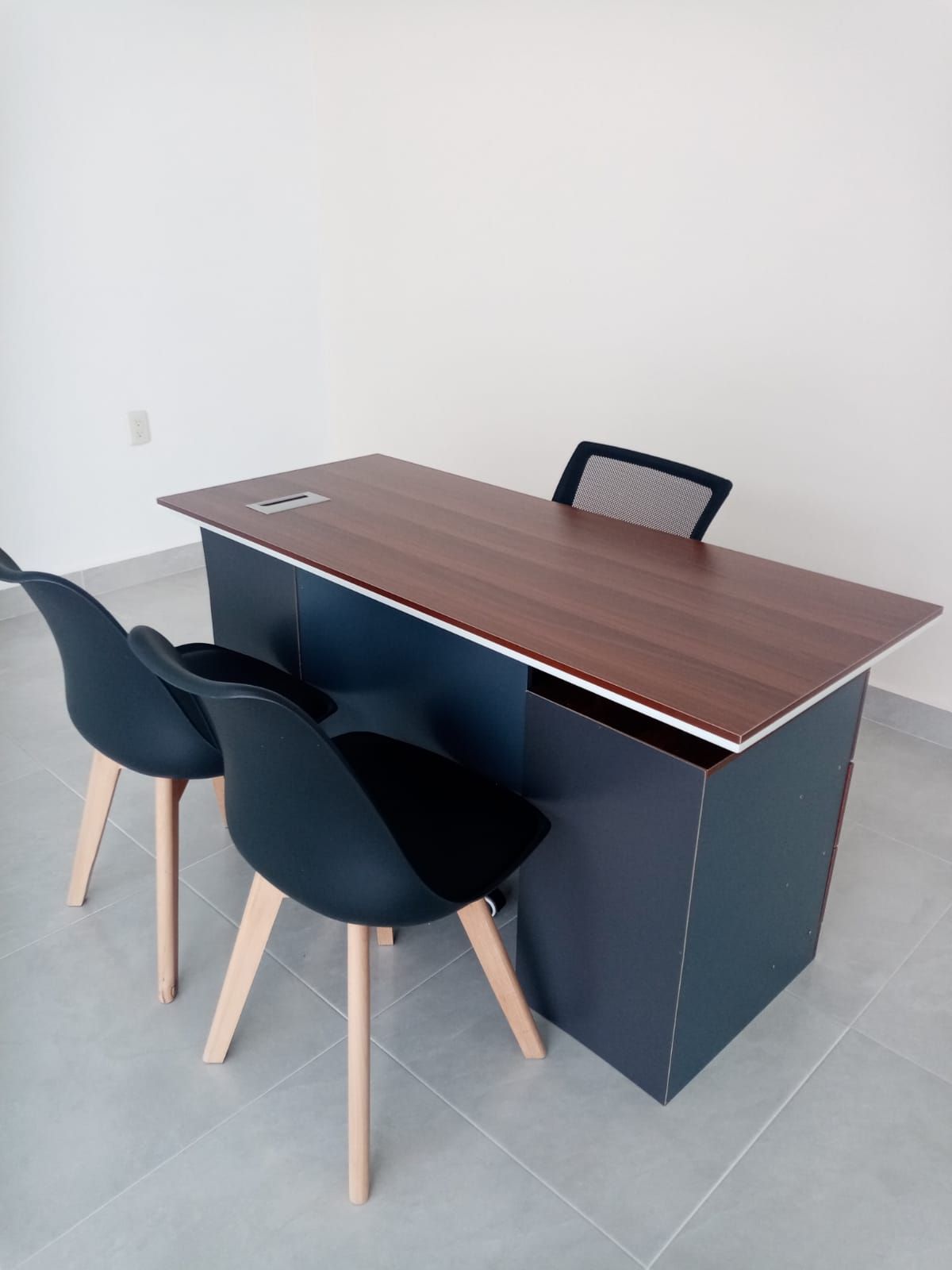 Ma. Carmen Herrera-13