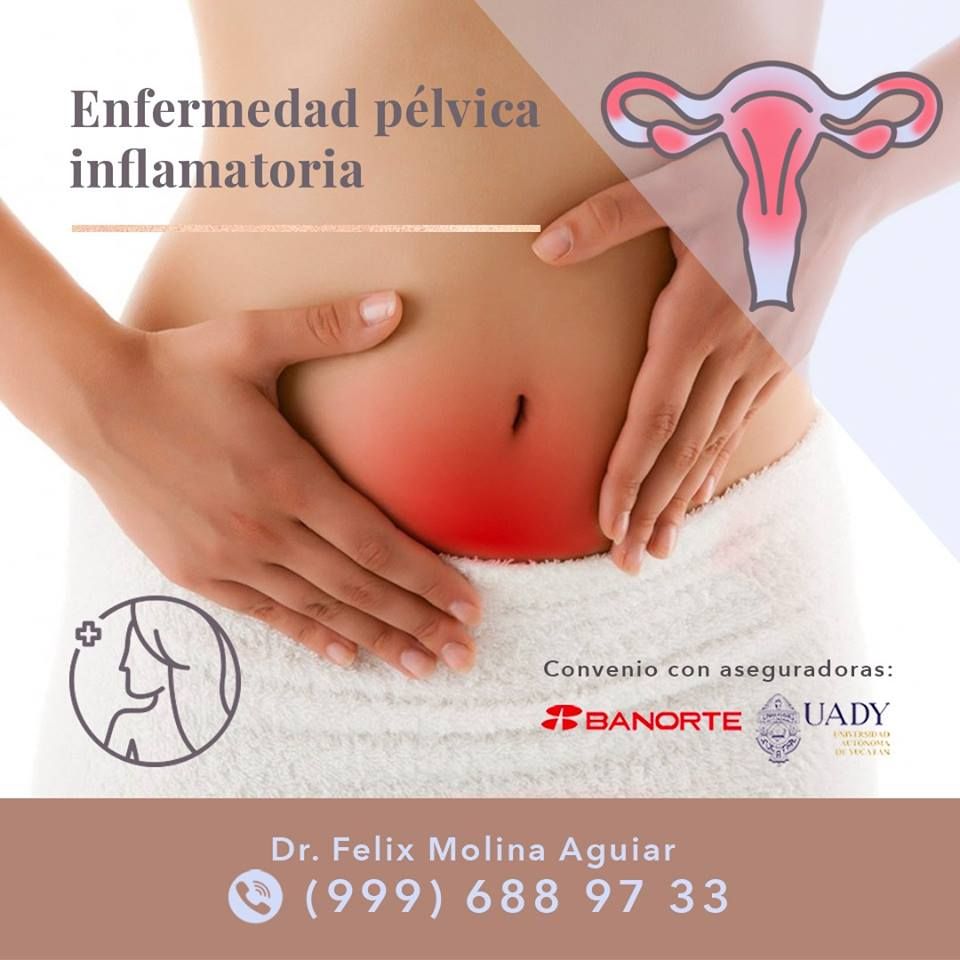 Félix José Molina Aguiar-24