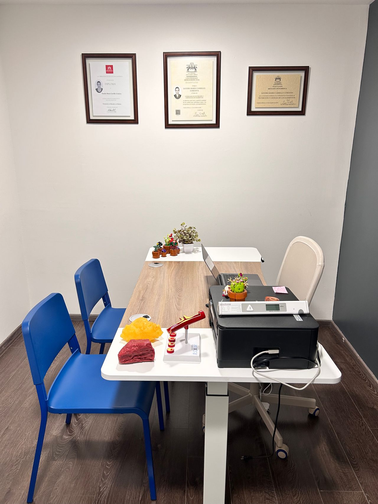 Sandra María Carrillo Córdova-2