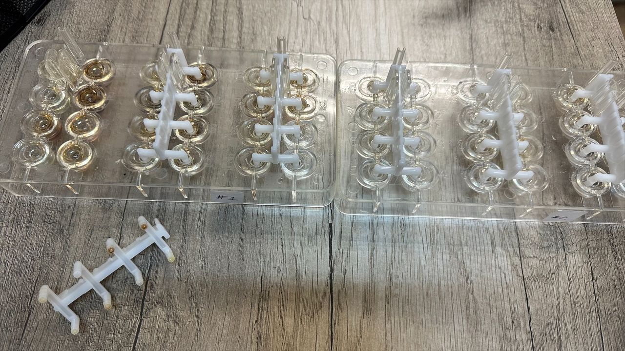 Janeth M. Lizárraga Gallo-2