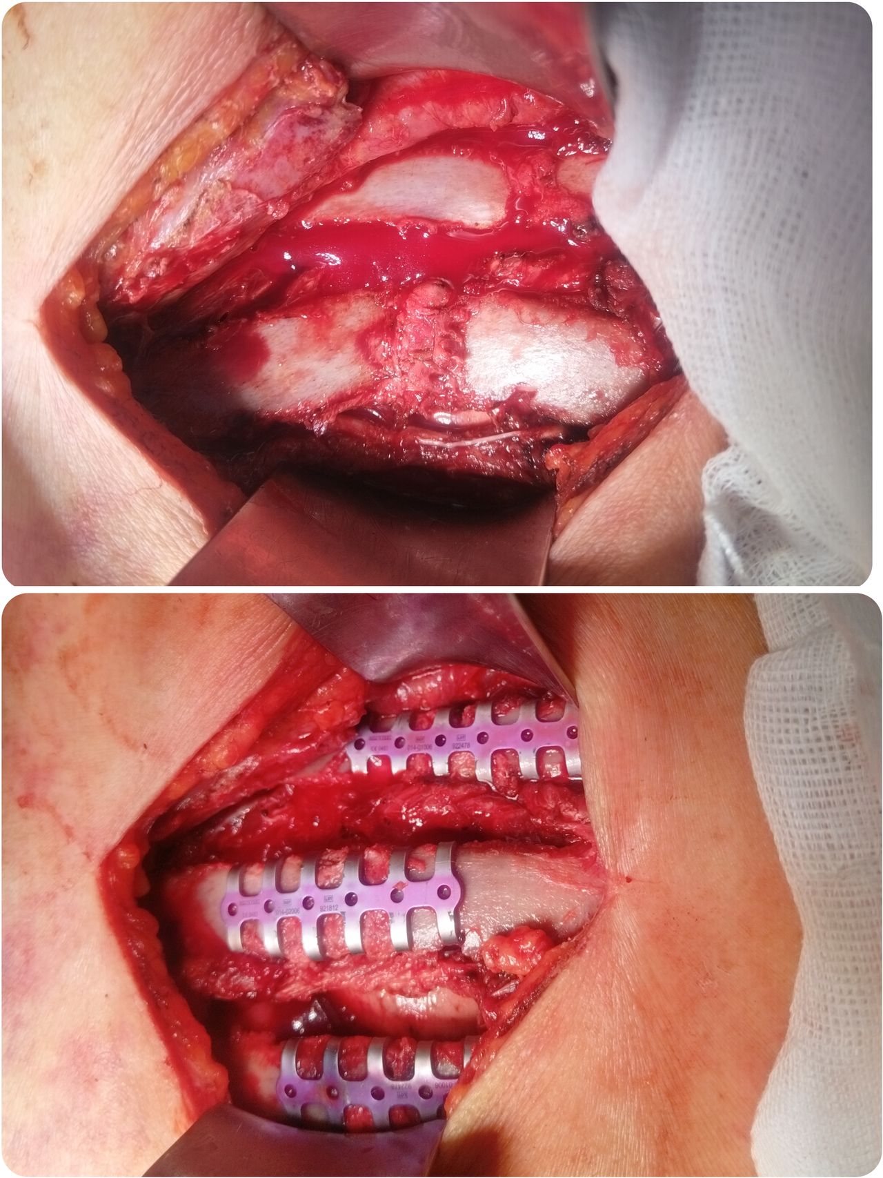 Elizabeth Charrez Guerrero-12