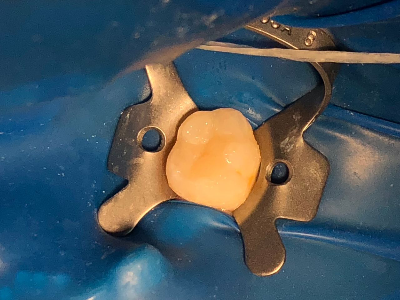 María Paula  Flores Novoa-43