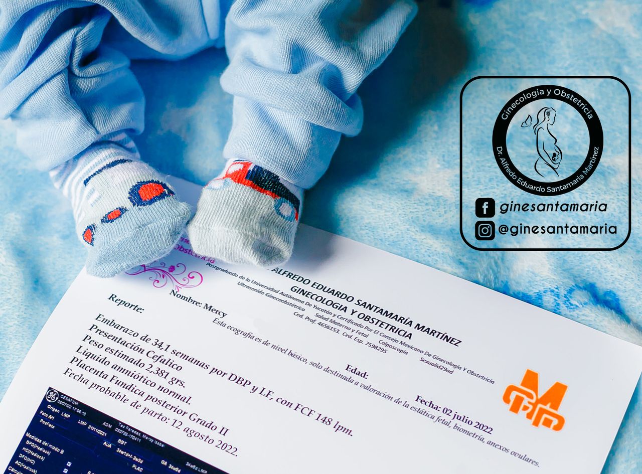 Alfredo Eduardo Santamaria Martinez-3