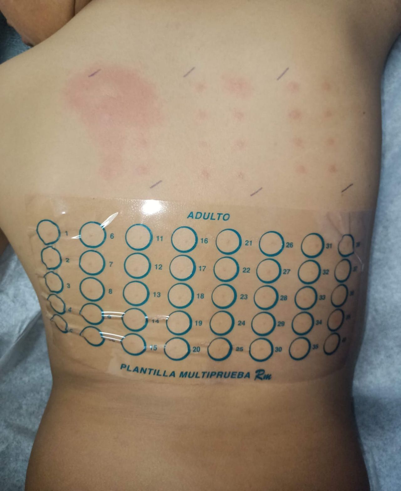 Carlos Gerardo Zuñiga Lagunes-6