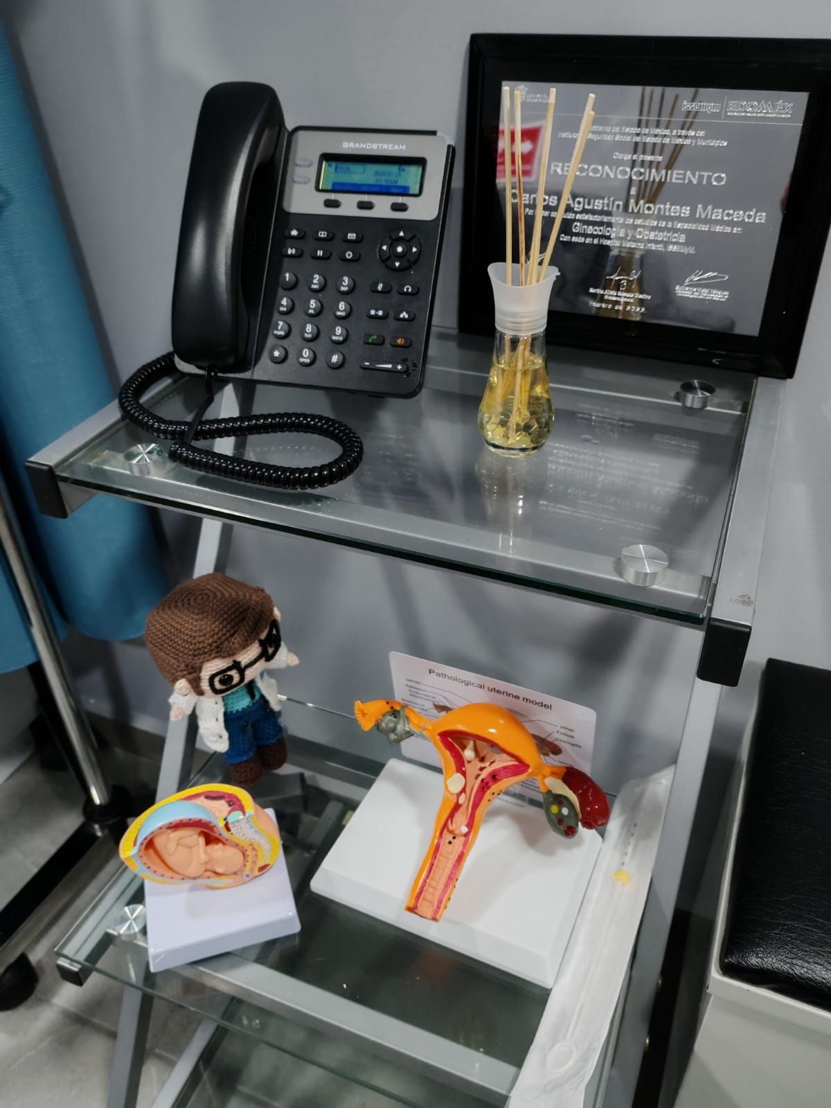 Carlos Agustin Montes Maceda-2