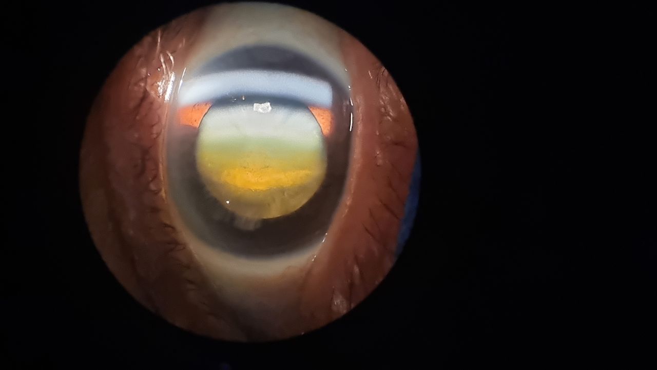 Iliana Peñaloza Román-1