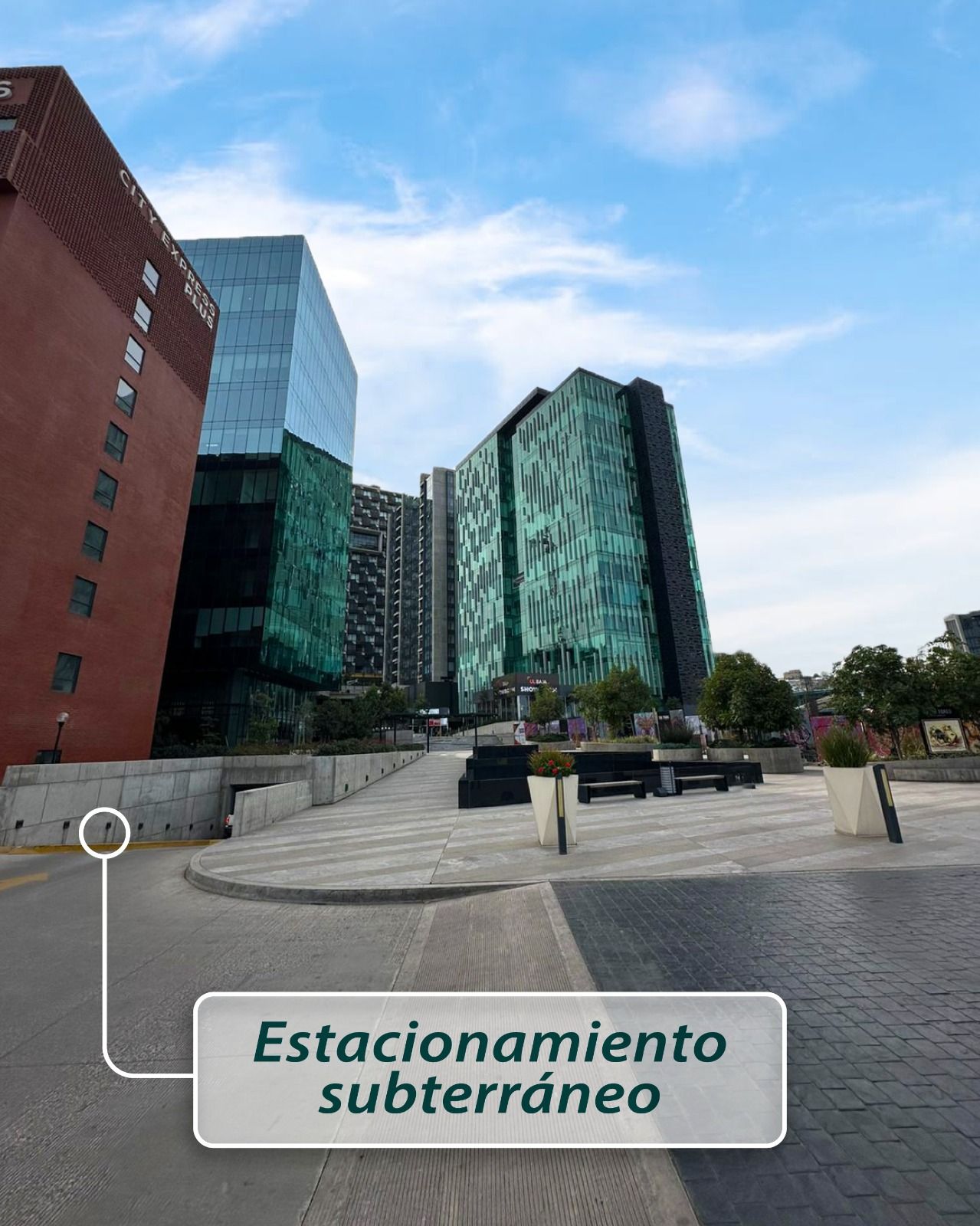 Erika Barajas Pedregal-1