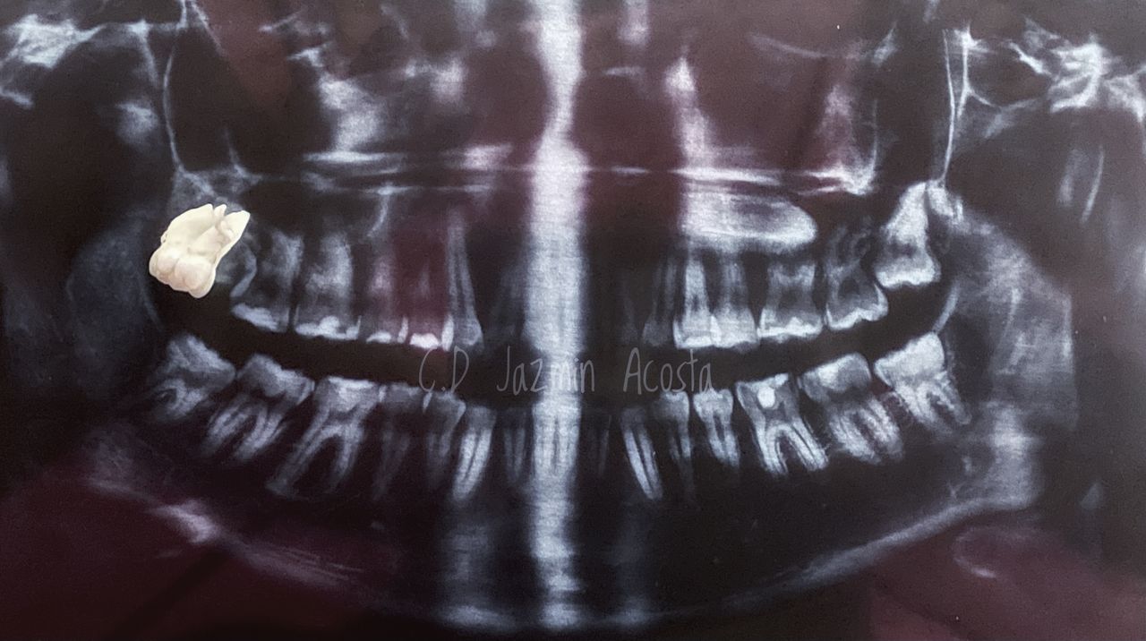 Jazmin A. Acosta Díaz-6