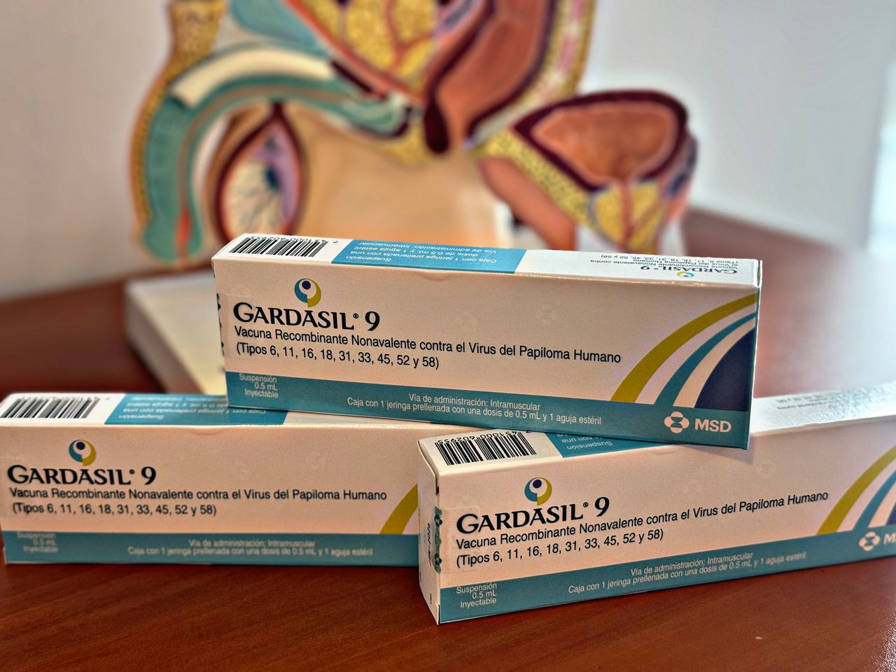 Jorge Alberto Juárez Varela-66