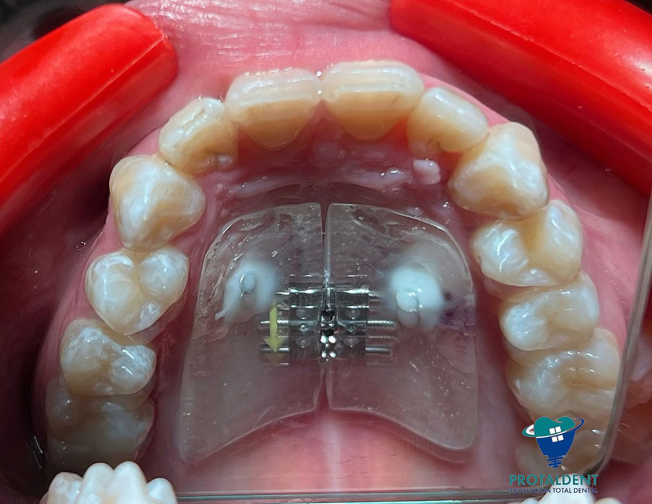 Sofia Faride Padilla Baruqui-15