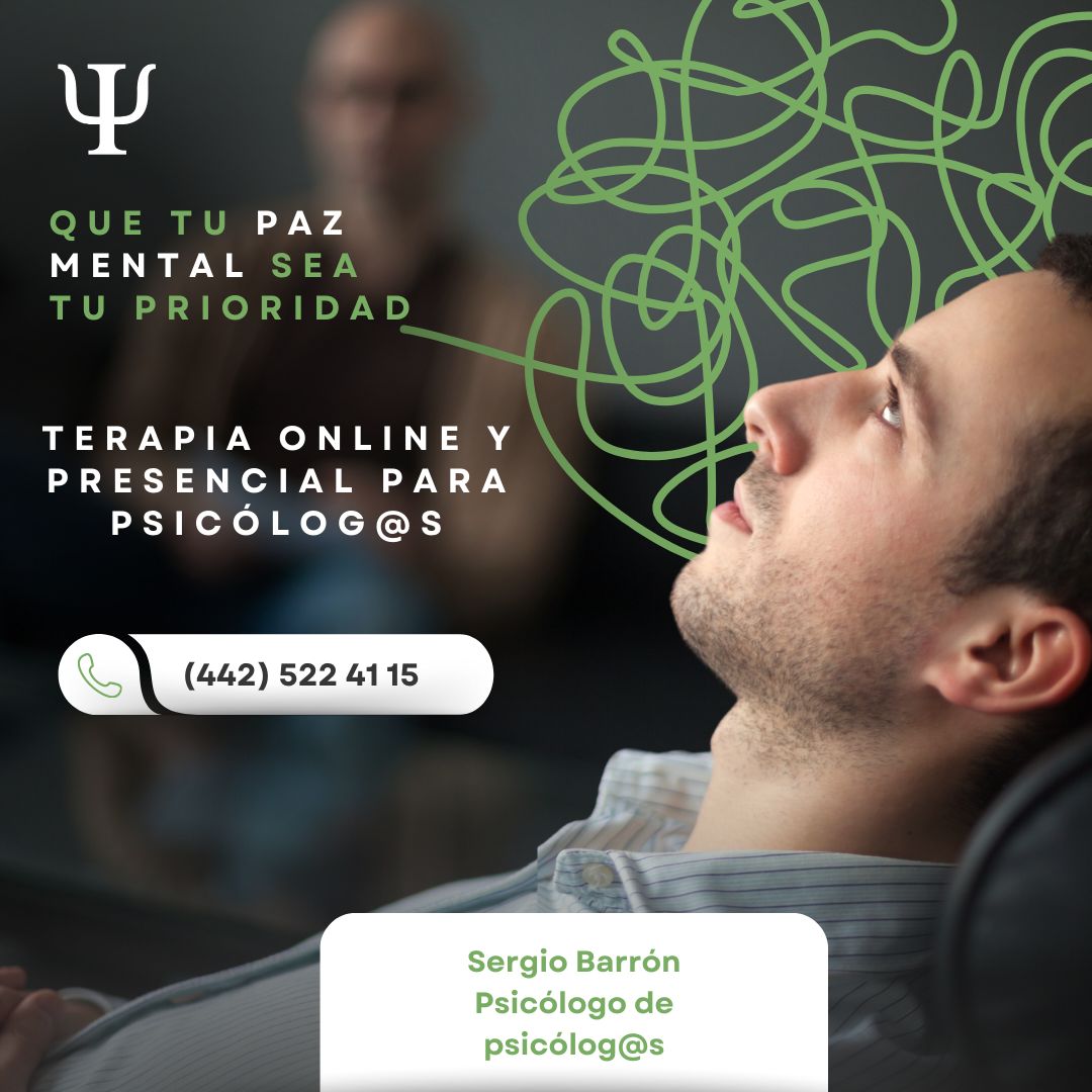 Sergio Enrique Barrón Sánchez-6