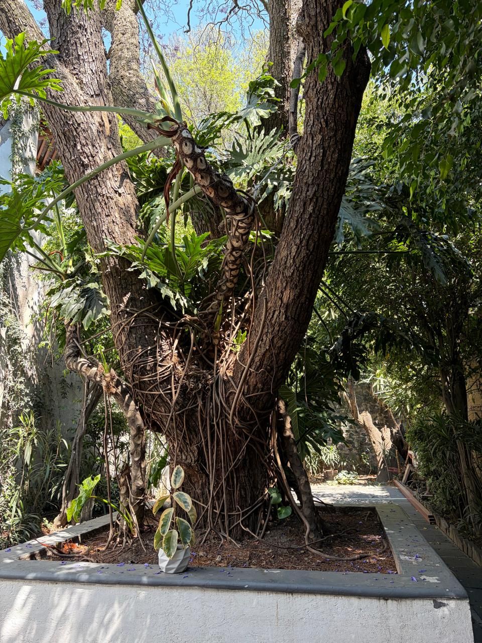 Karla Muñoz De Peña-3