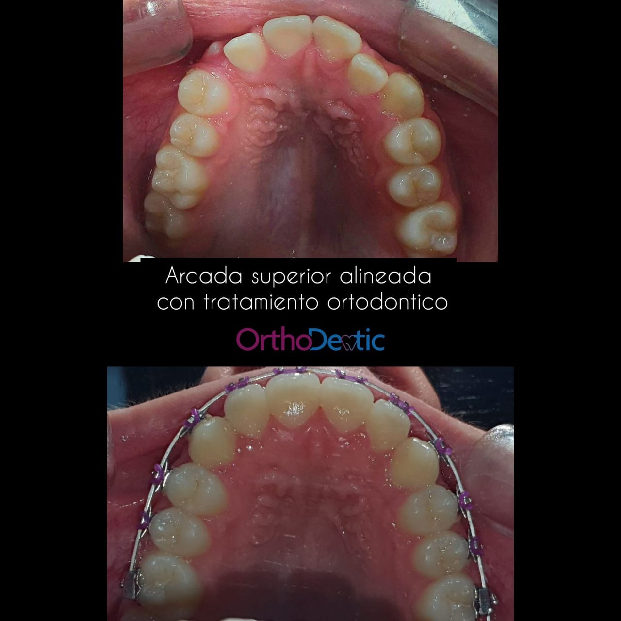 Mónica Bridgette Guerrero Martínez-126