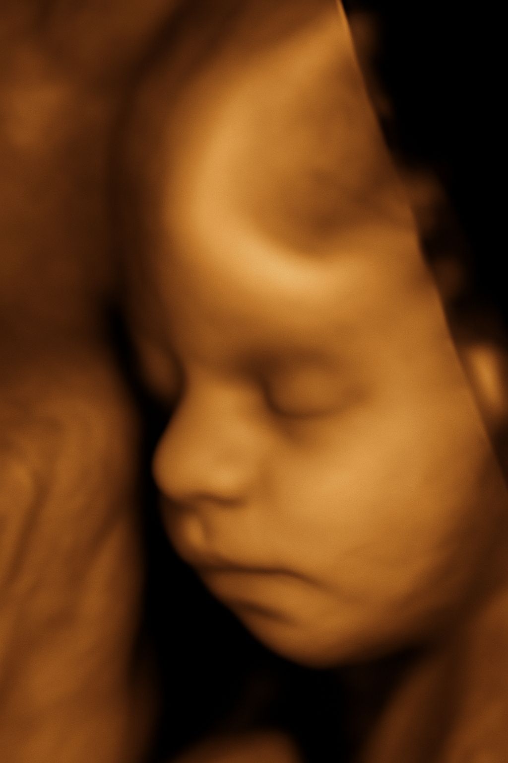 Adrian Estrada Campos-27