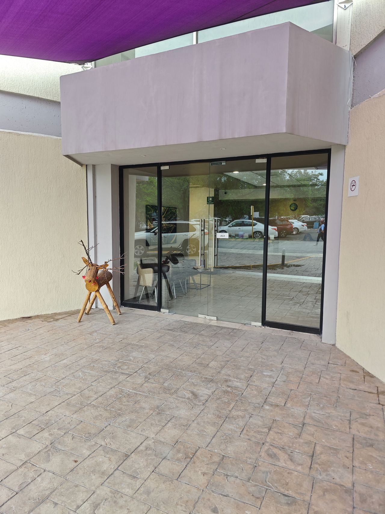 Héctor Eduardo García Cavazos-3