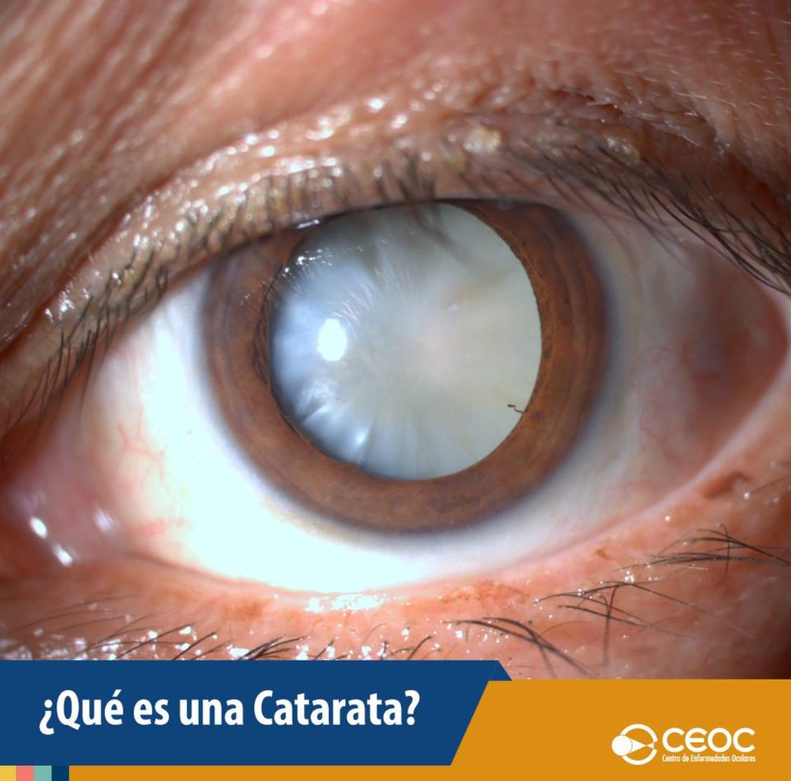 Juan Fernando Rivero Prado-6