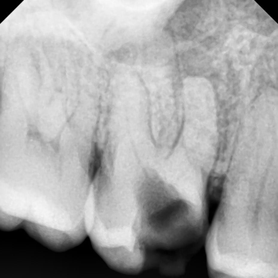 Esmeralda Candida Guerrero Pimentel-21