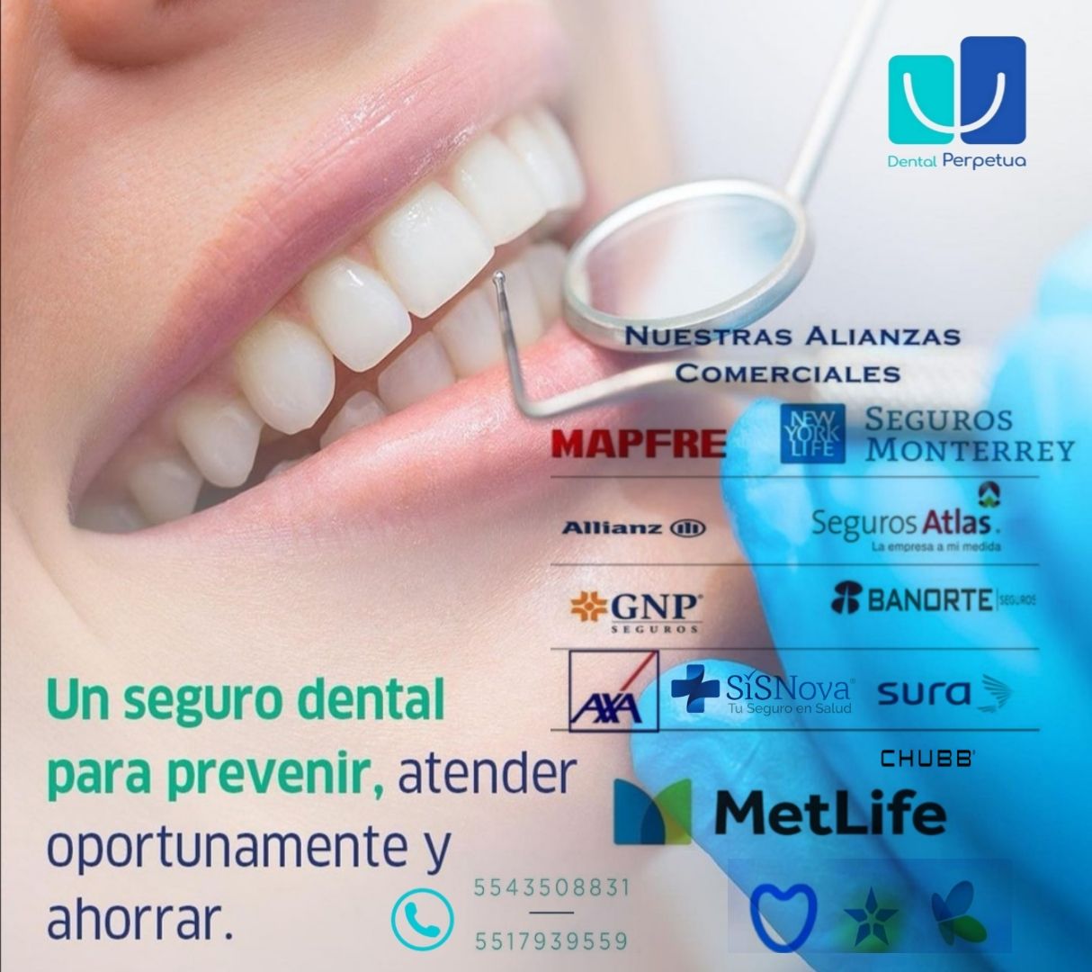 Laura Olivia Solís Ávila-21