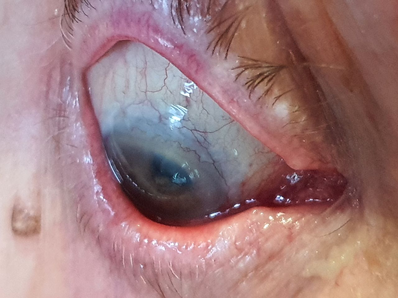 Erick Javier Ramírez Villa-13