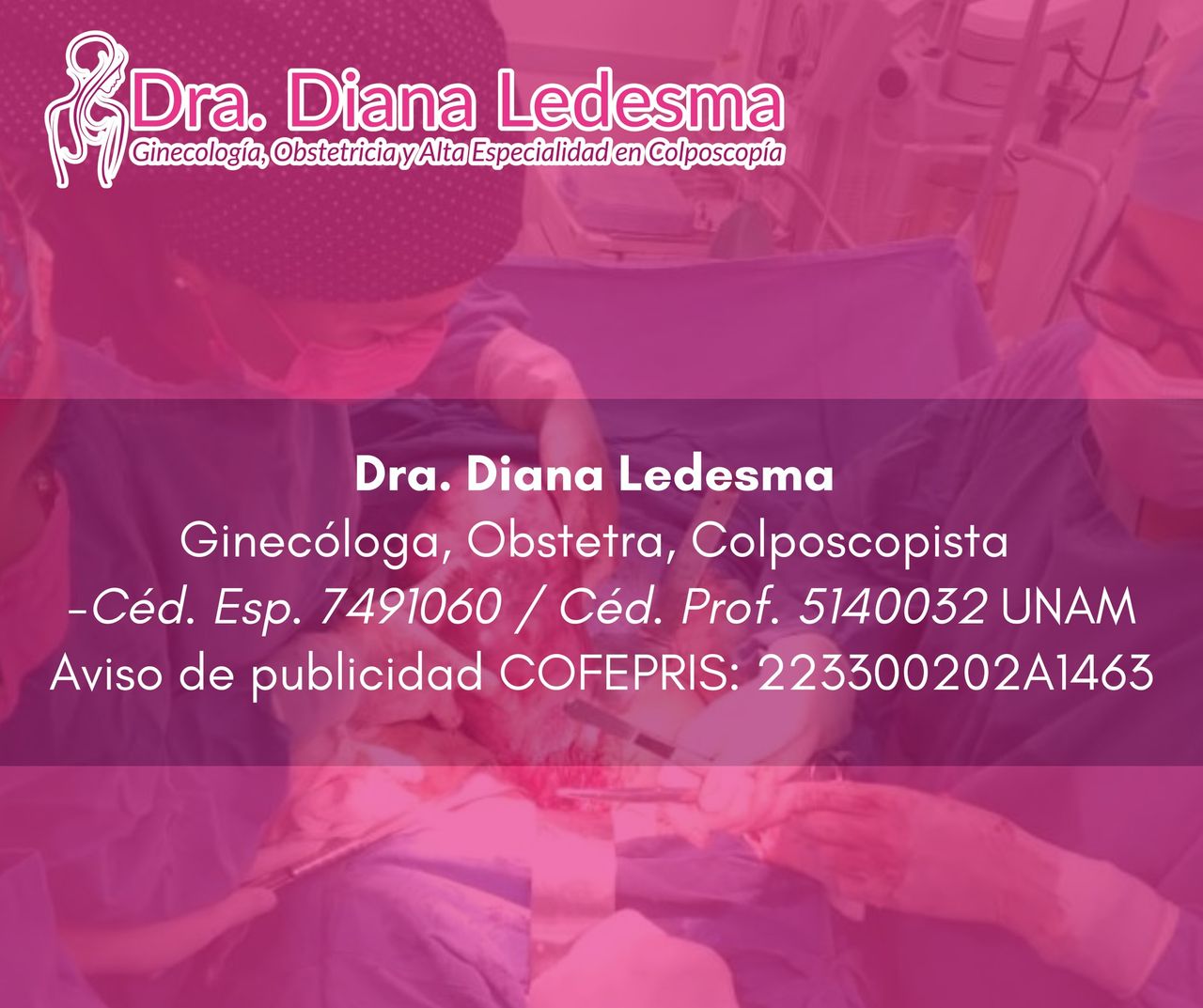 Diana Ledesma Estrada-11