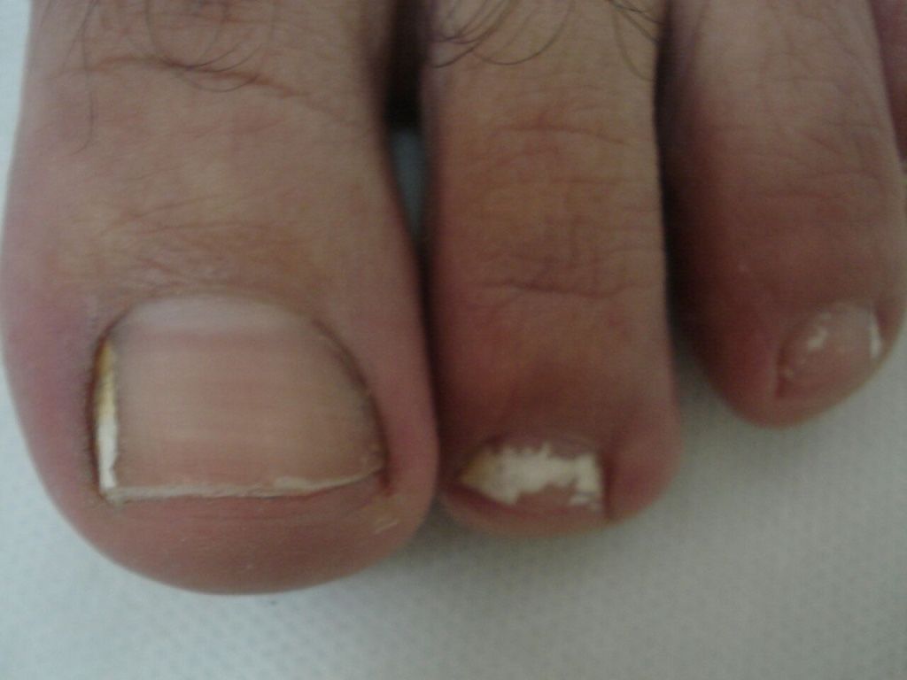 Virginia Susana Luna Magaña-8