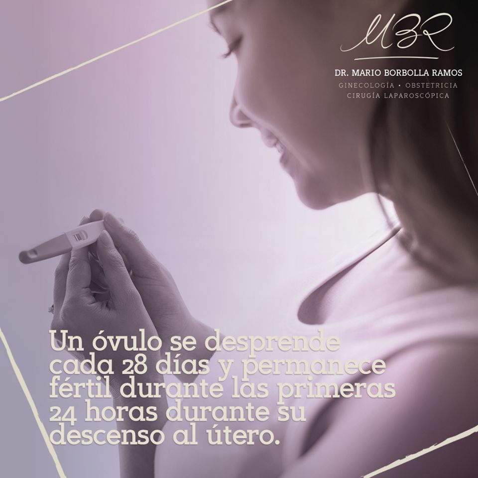 Mario Borbolla Ramos-2