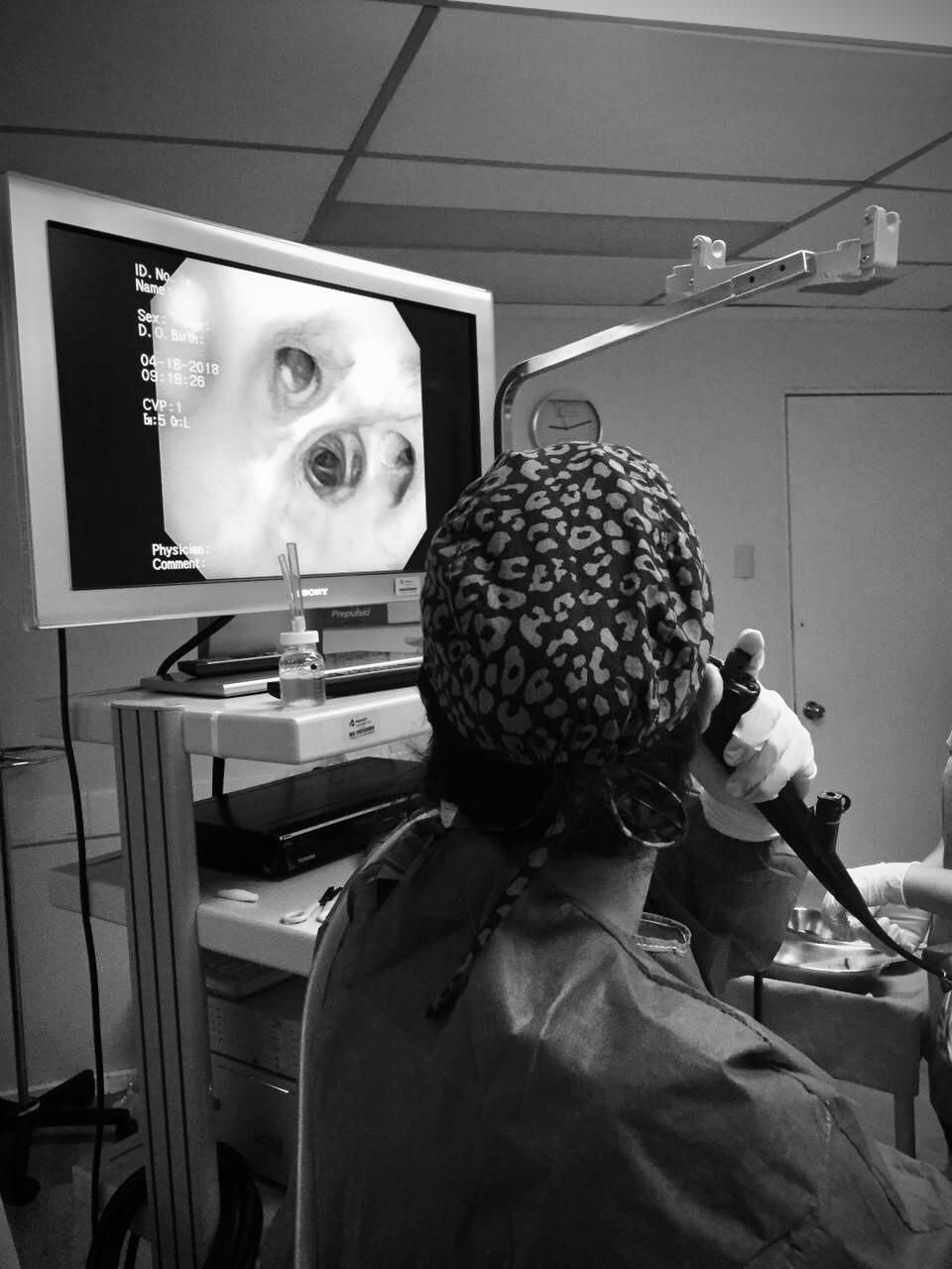 Alejandra Moreira Meyer-3