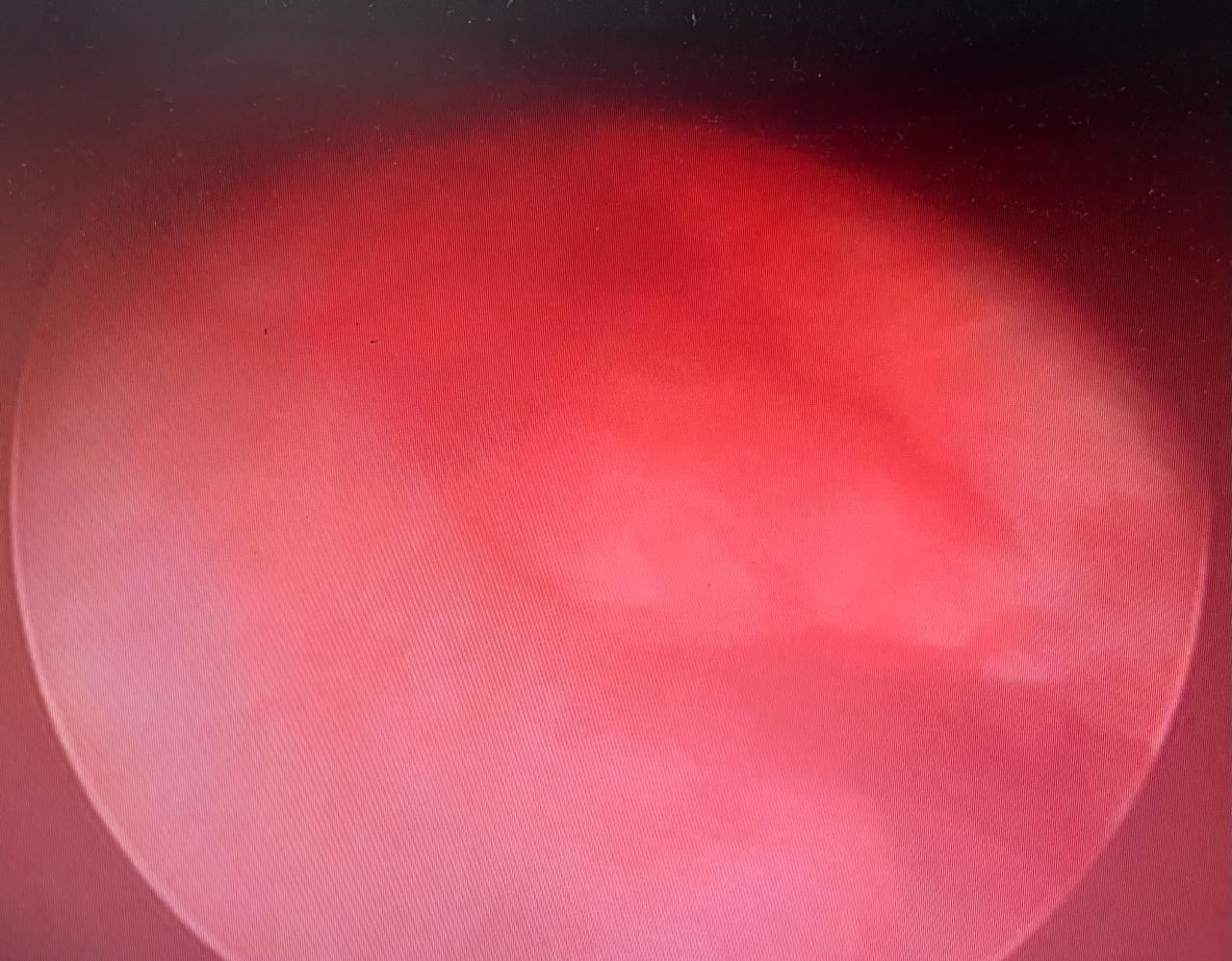 Sandra Faviola Dávila Molina-7