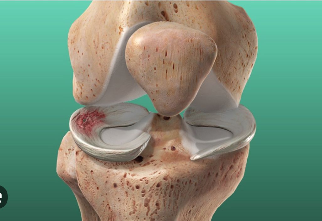 Javier Quintanilla Rivera-0