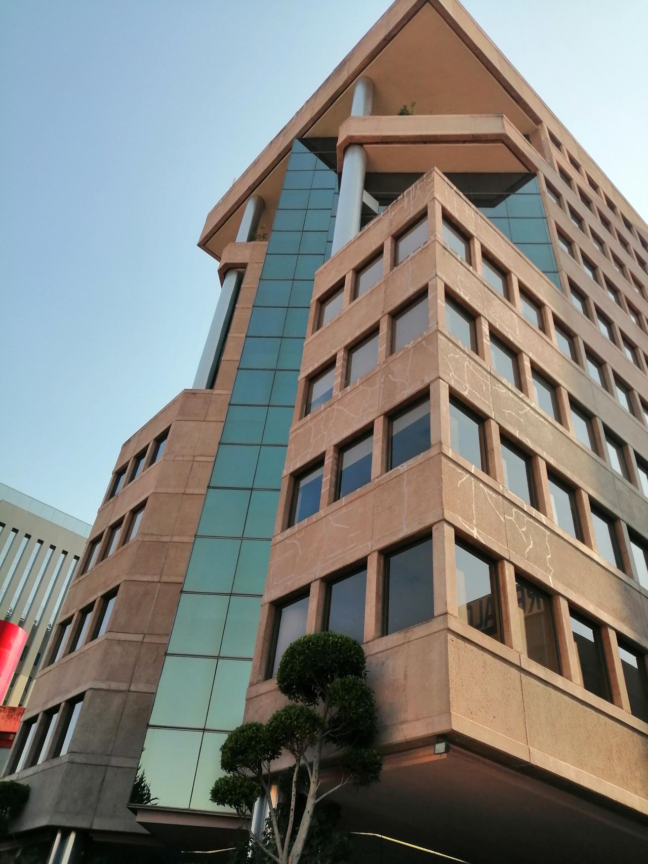 Maribel Domínguez G.-7