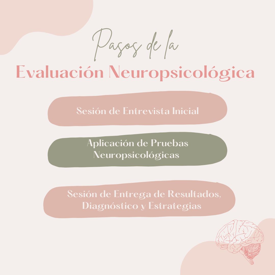 Grecia Mejia Aguilar-13