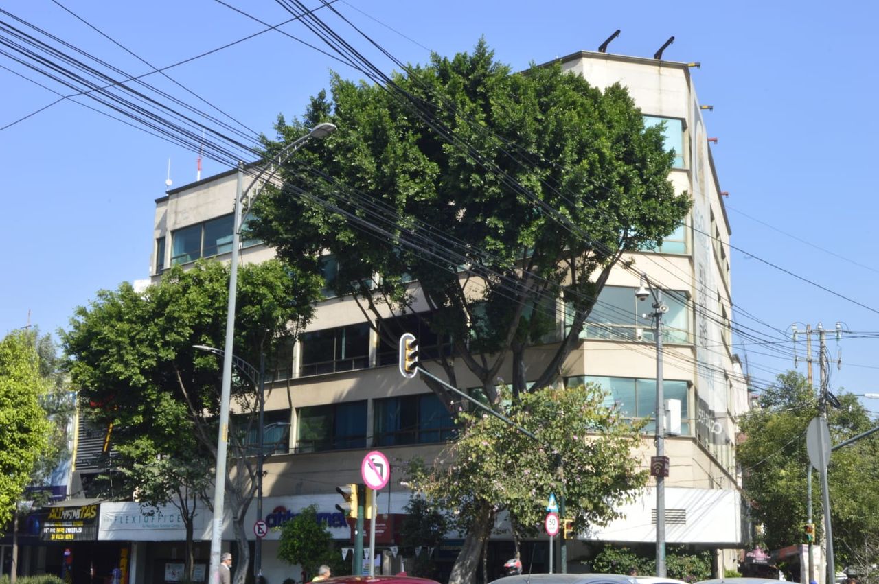 Vicente Bustos Delgado-2