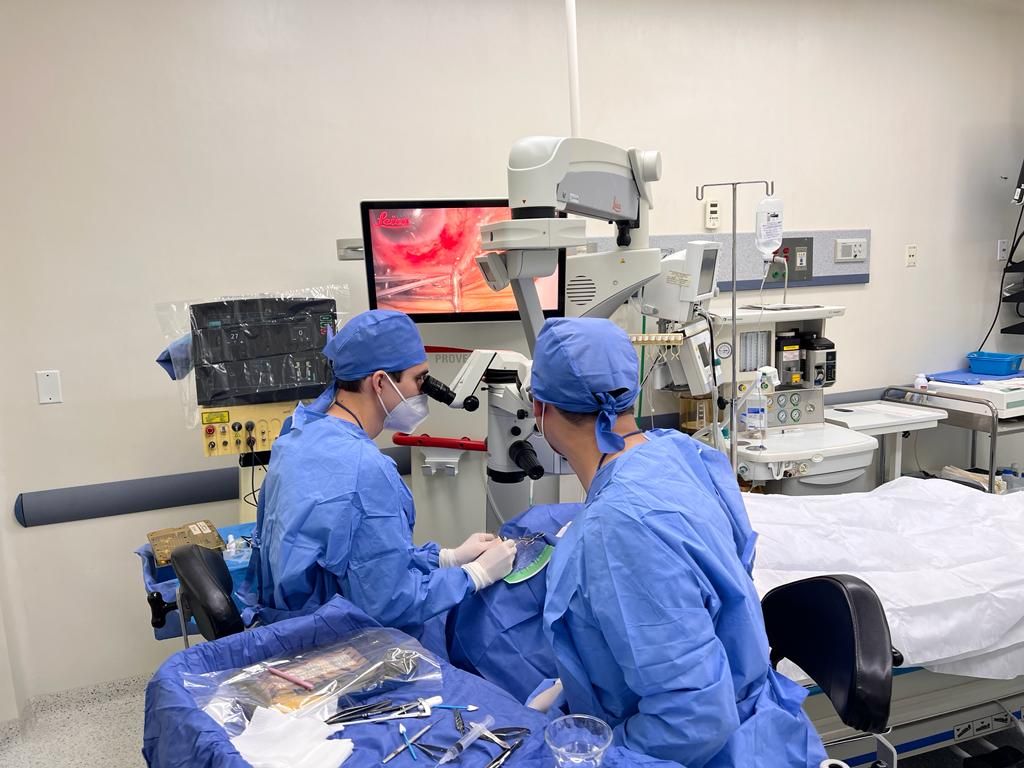 Erasto Jair García Negrón -3