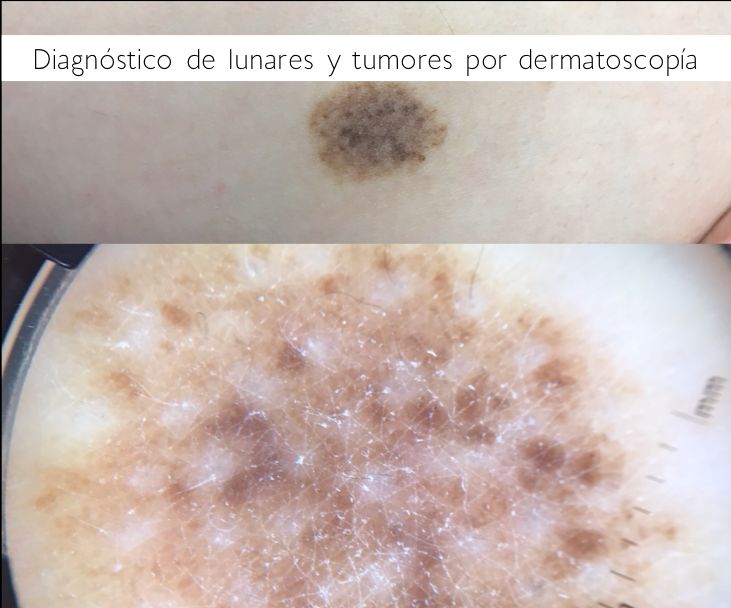 Ana Carolina Manzotti Rodríguez-1