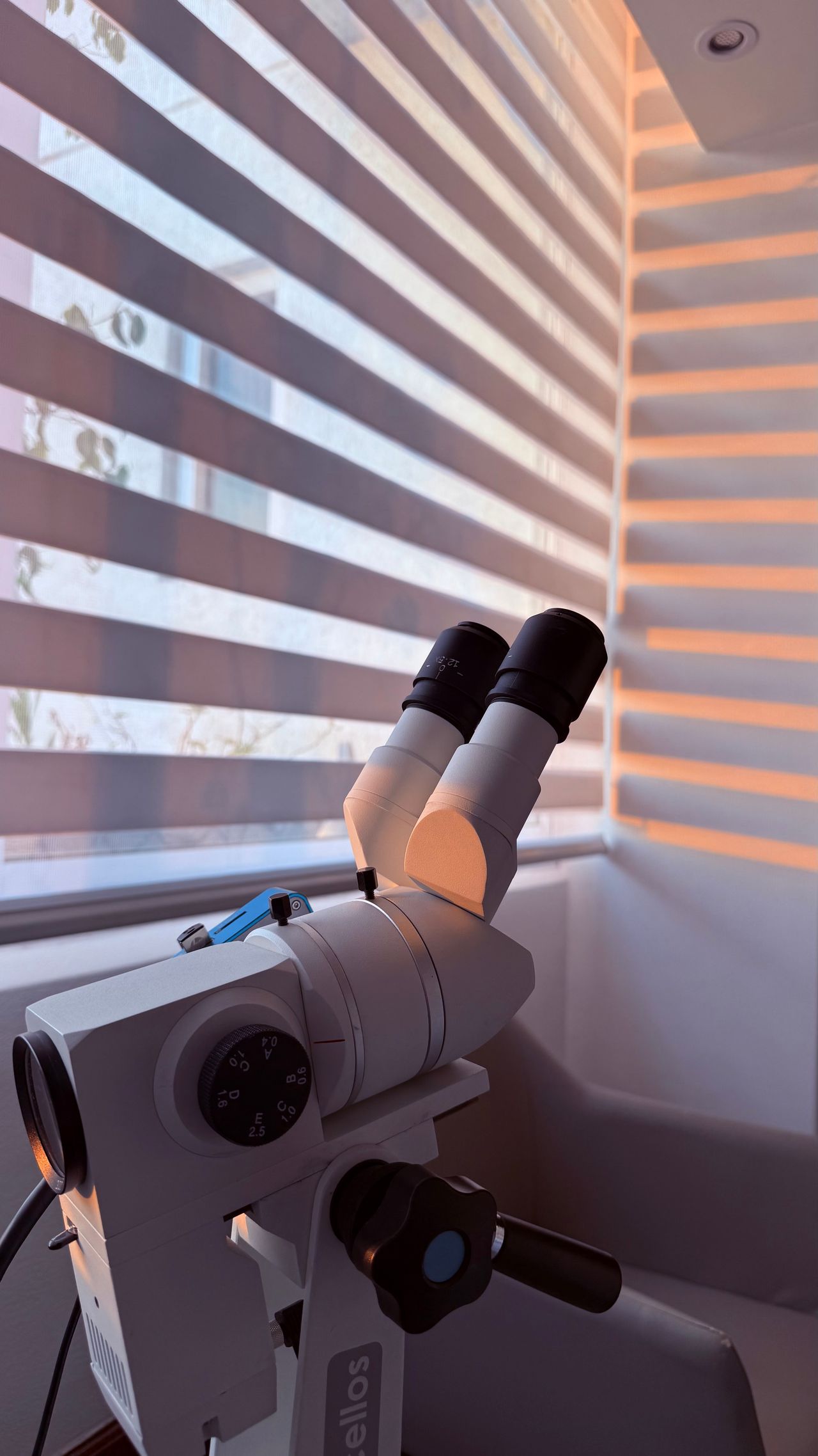 Diana Villicaña Guerrero-5