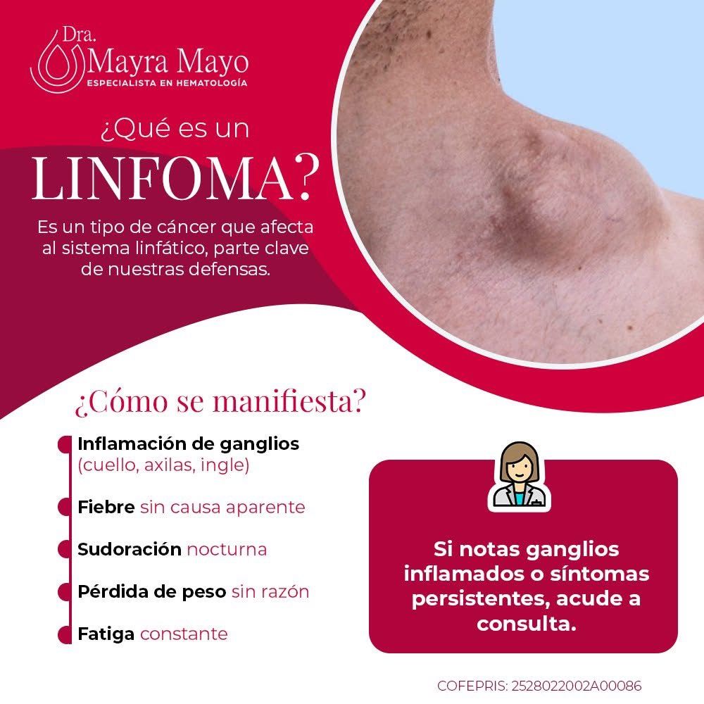 Mayra Lizbeth Mayo Martinez-3