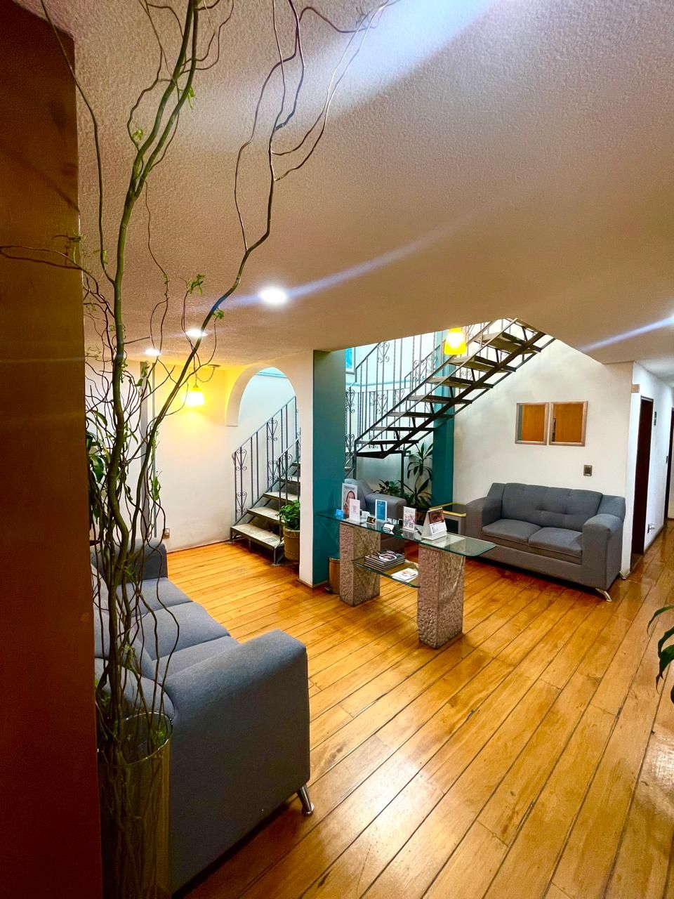 María Alejandra Cerquera Jaramillo-1