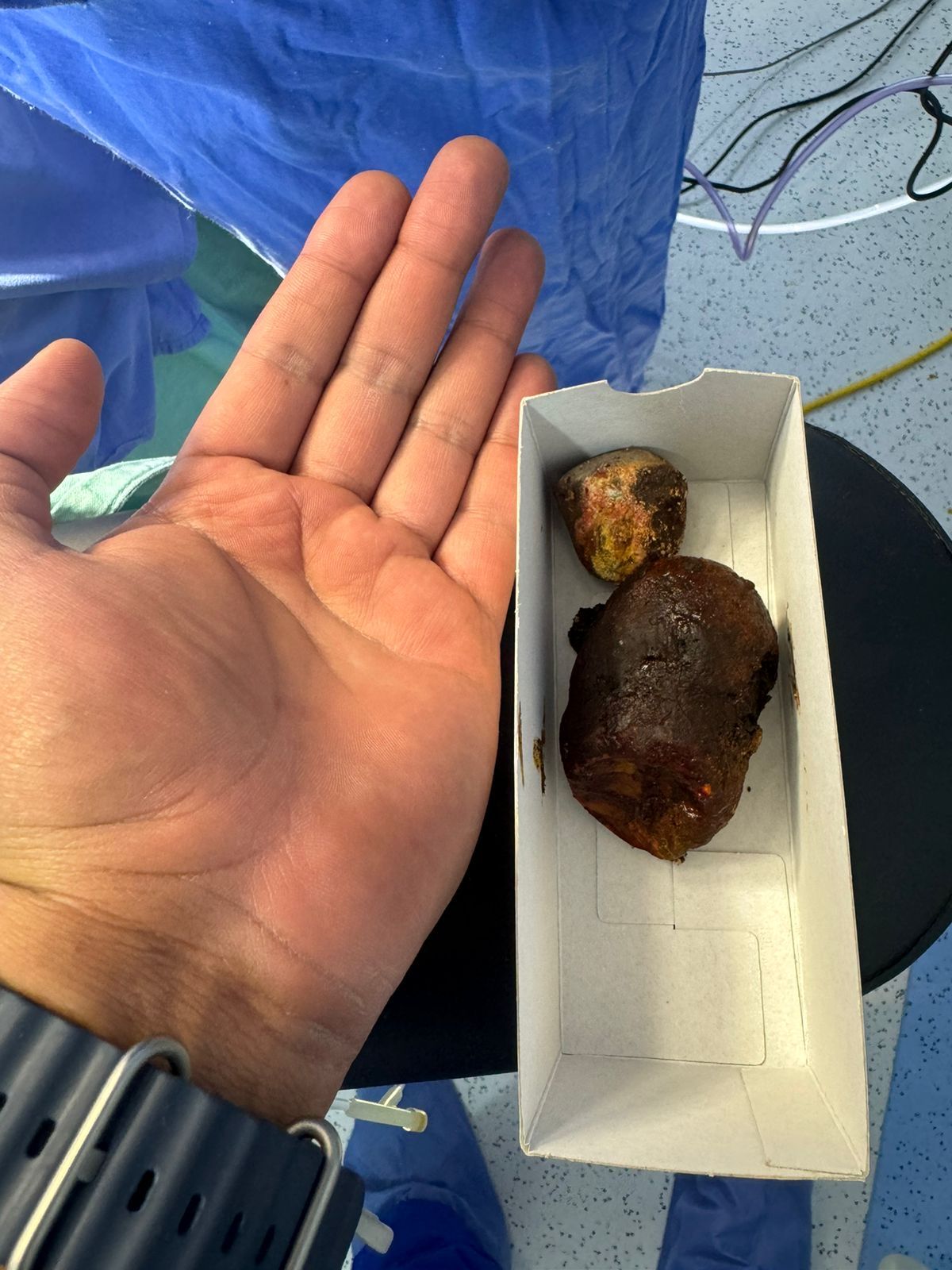 Esteban Bueno Lavandeira-11