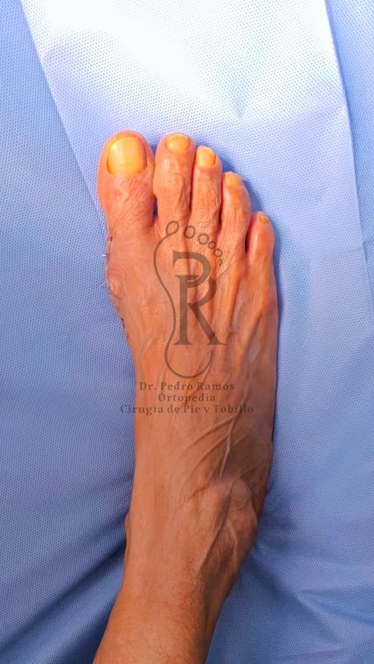 Pedro Ramos Jurado-3