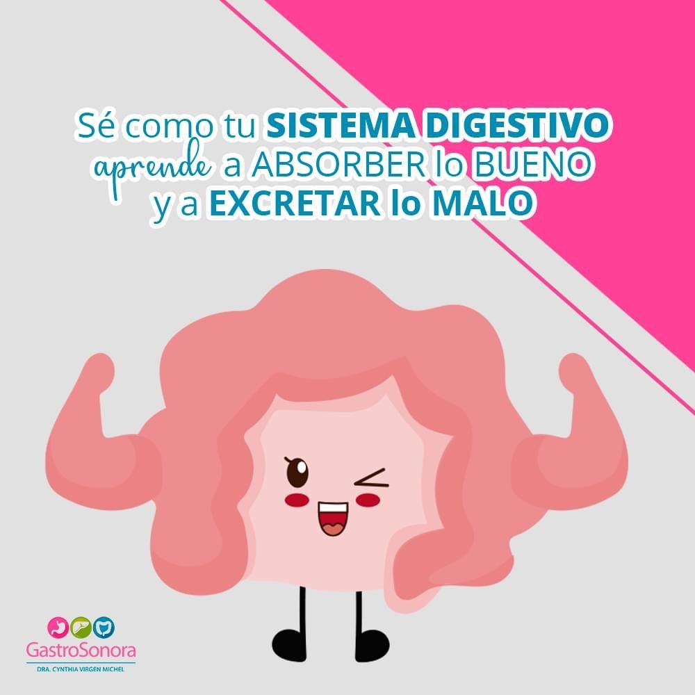 Cynthia Virgen Michel-19