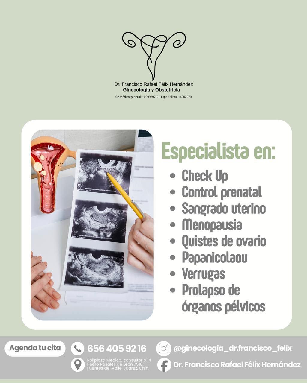 Francisco Rafael Felix Hernandez-11