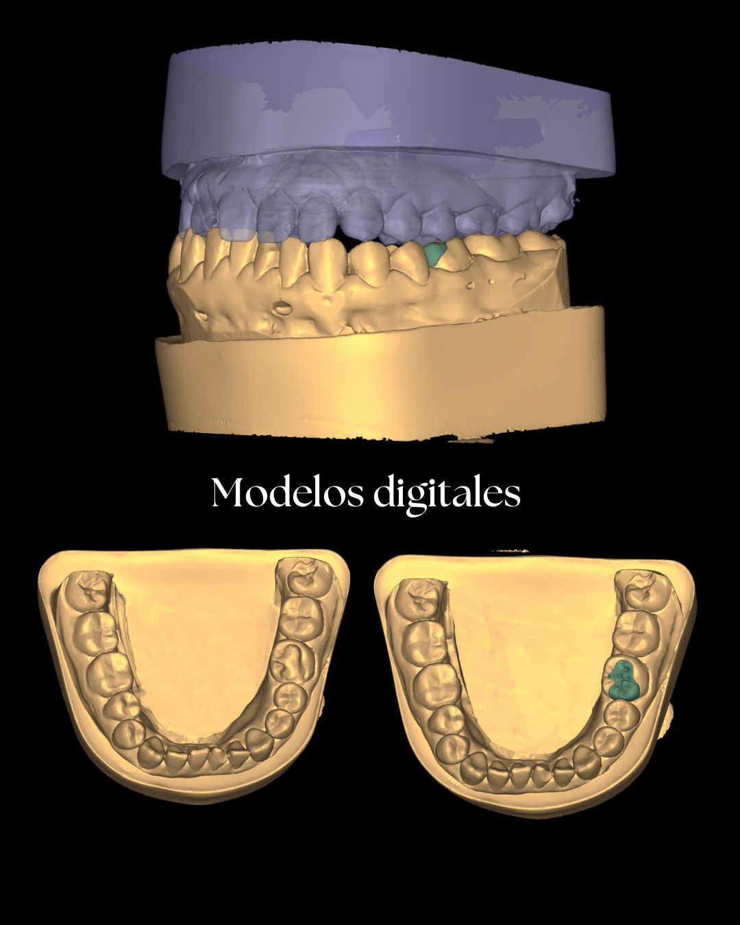 Andrea Amairani Ruiz Miranda-8