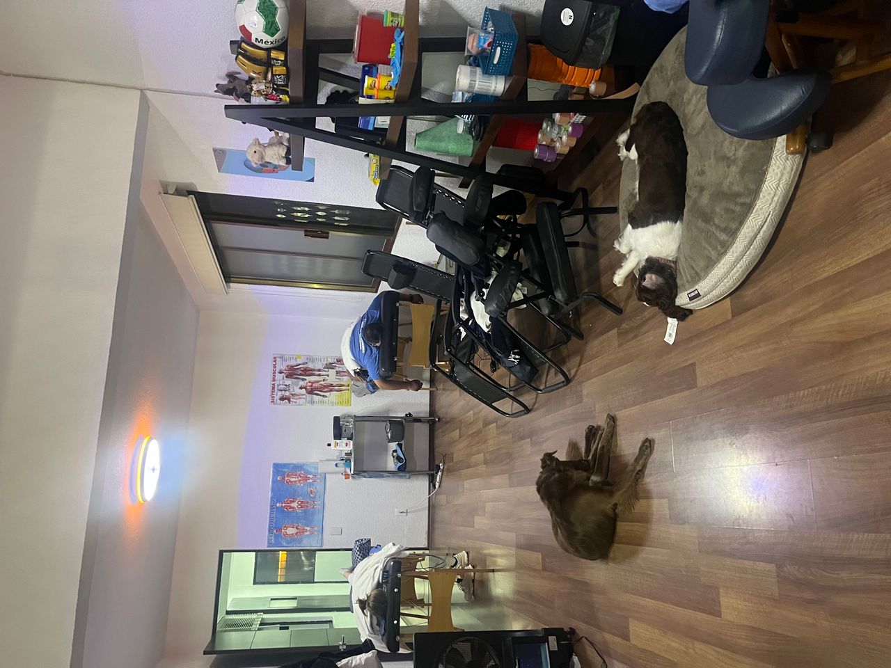 Patricia Raquel Mejia Trejo-28