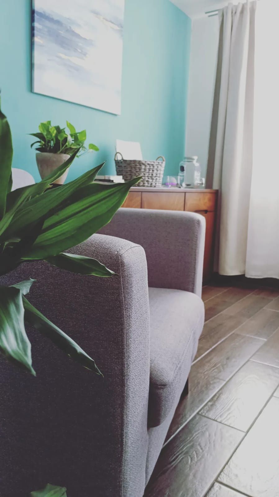 Alejandro Macías Buchanan-0