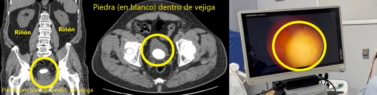 Maria Guadalupe Chávez Torres-0