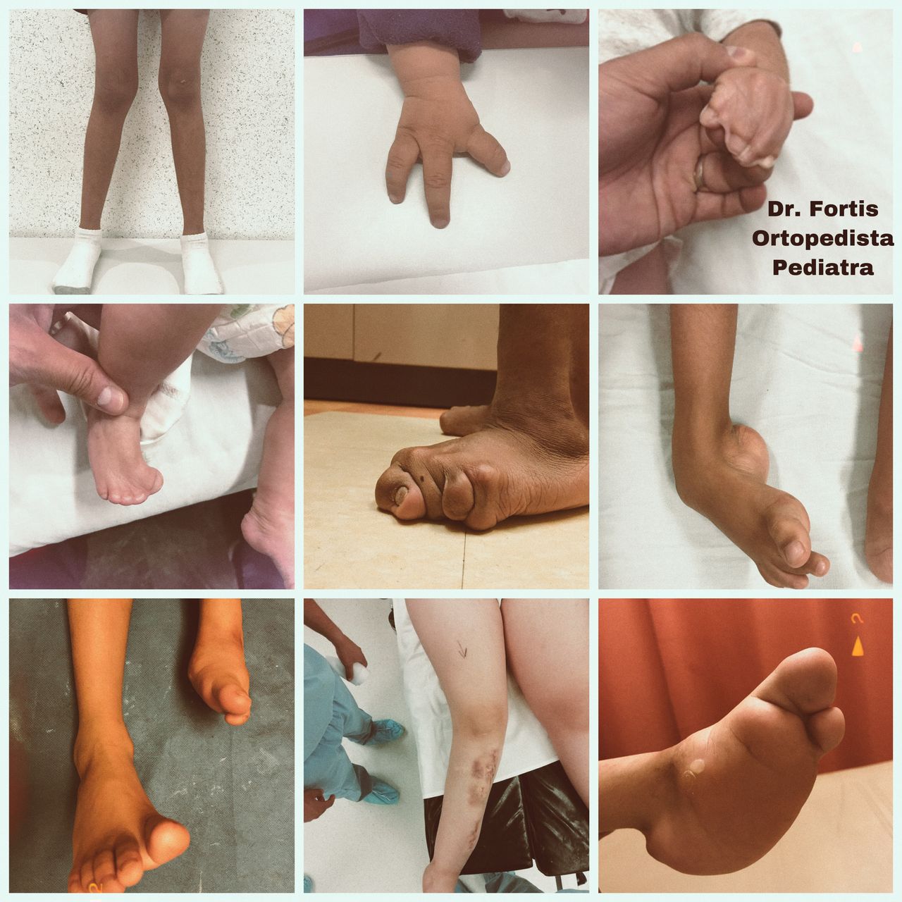 Ignacio Osvaldo Fortis Olmedo-12