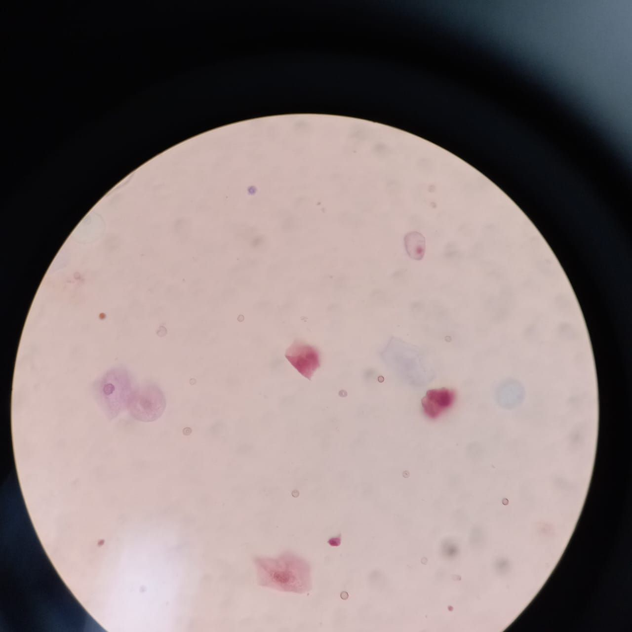 Fabiola Pazos Pérez-2