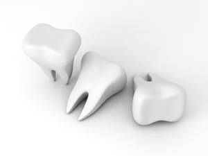 Wendy Sánchez P.-12